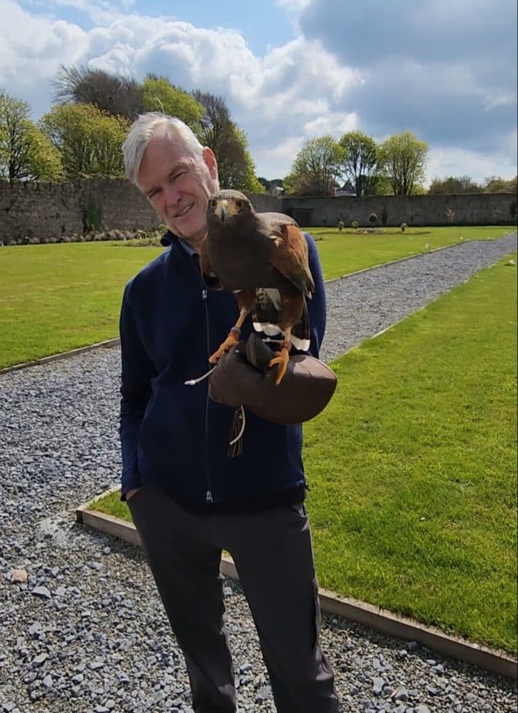 falconry in ireland