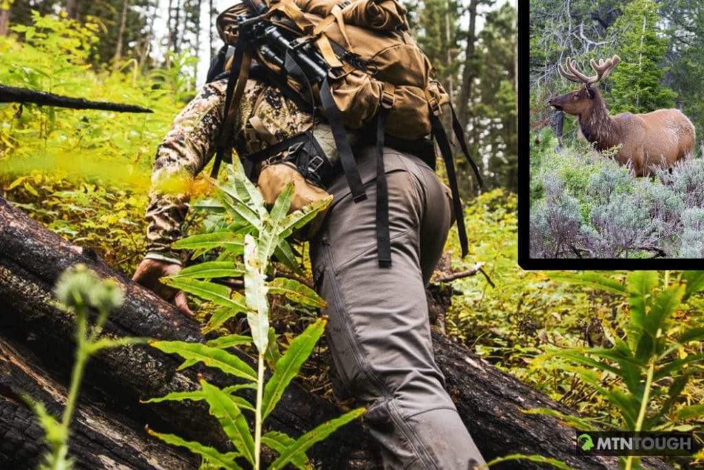 hunter scouting for elk