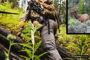 hunter scouting for elk