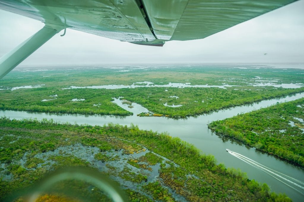 view from seaplane in lafitte, louisiana