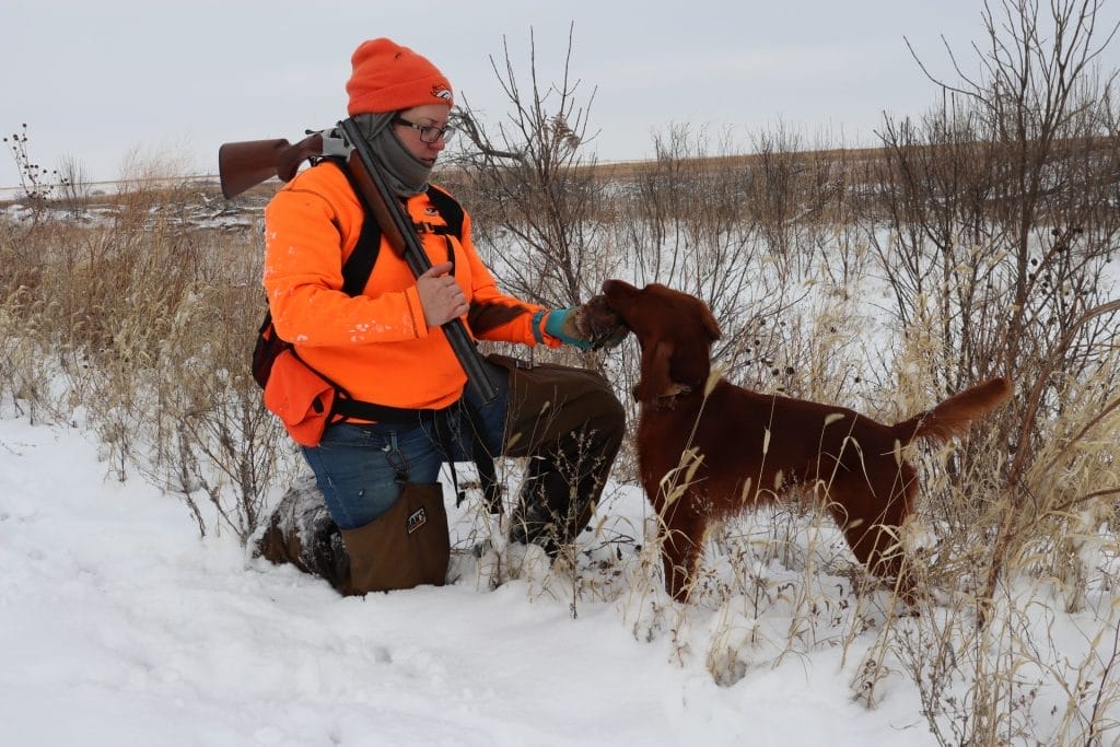 training a pointer dog