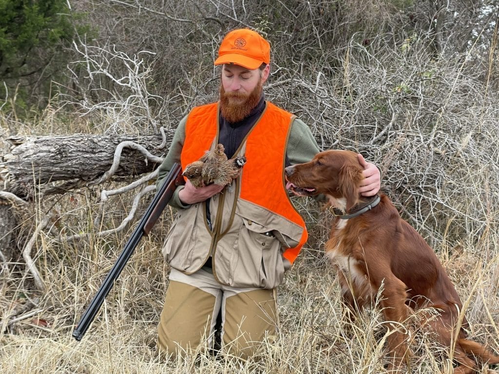 irish setter upland bird hunt