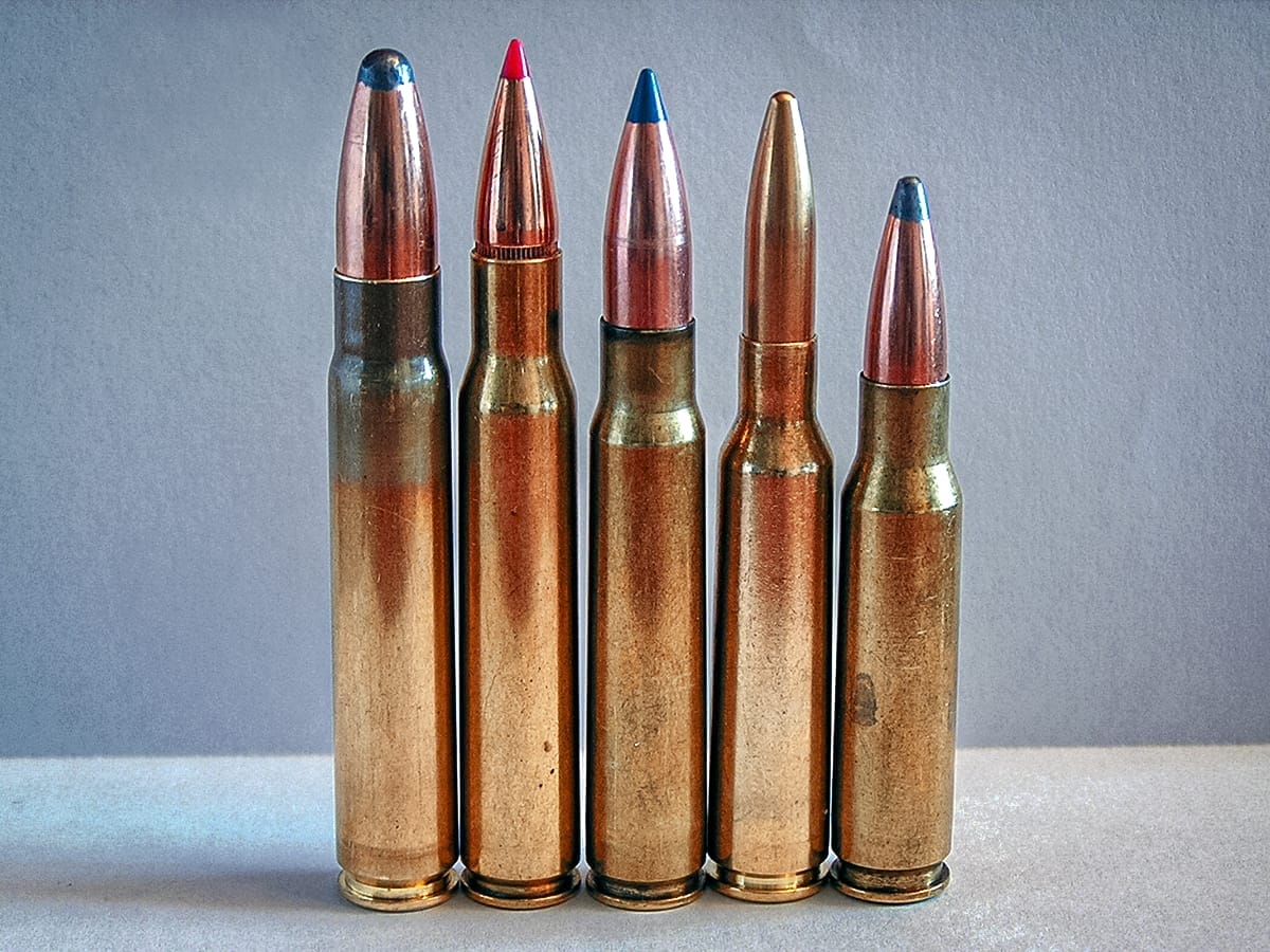 .308 winchester (right)