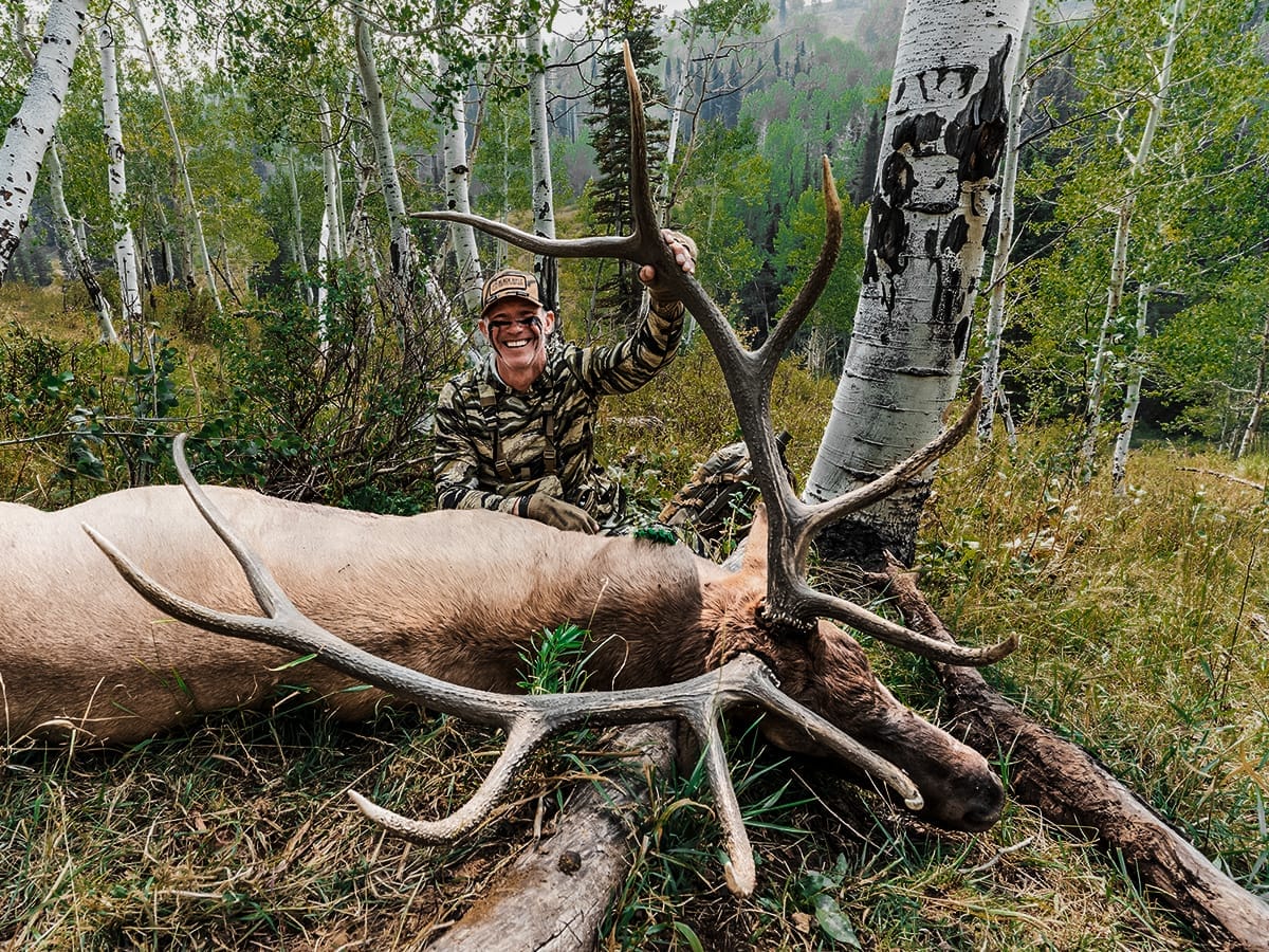 John Dudley with a nice elk in some thick brush.