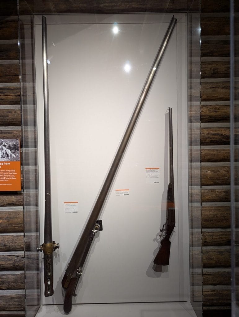 Holland & Holland 2 Gauge Punt Gun