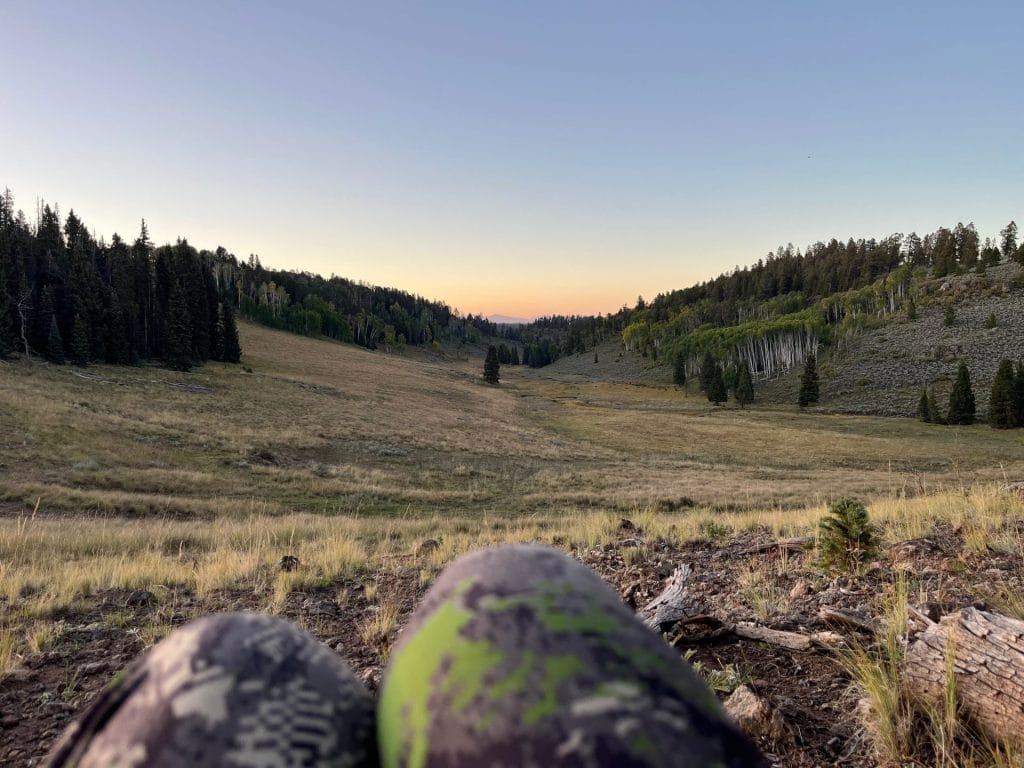 sitka optifade cover in colorado