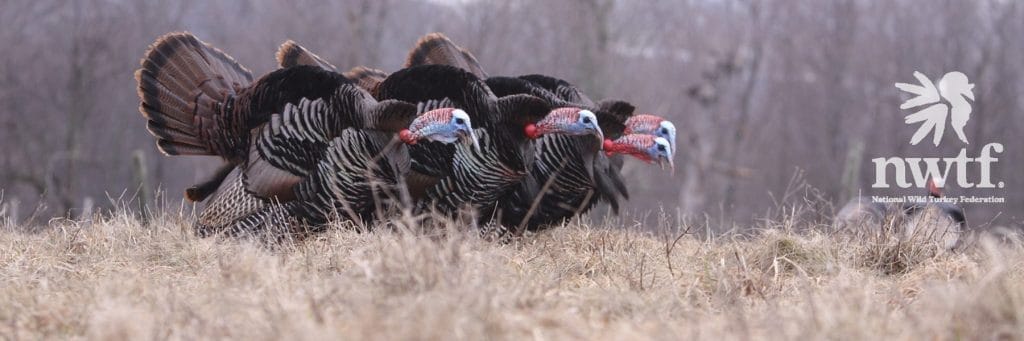 NWTF Donates Nearly $300,000 In Alabama 