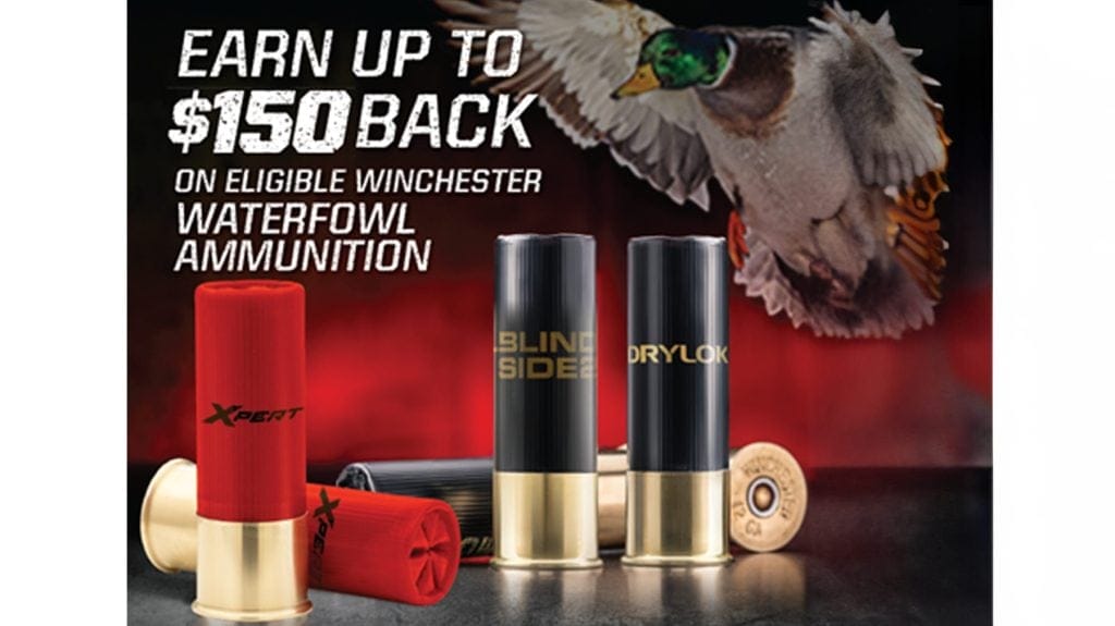 winchester shotshells