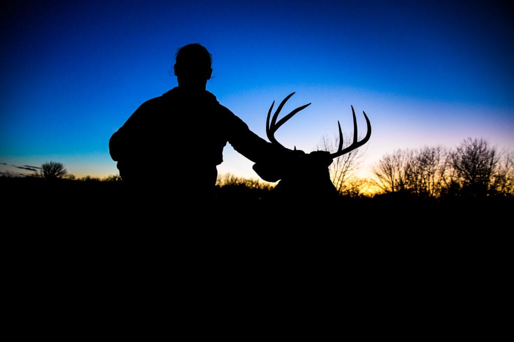 scouting for whitetail deer